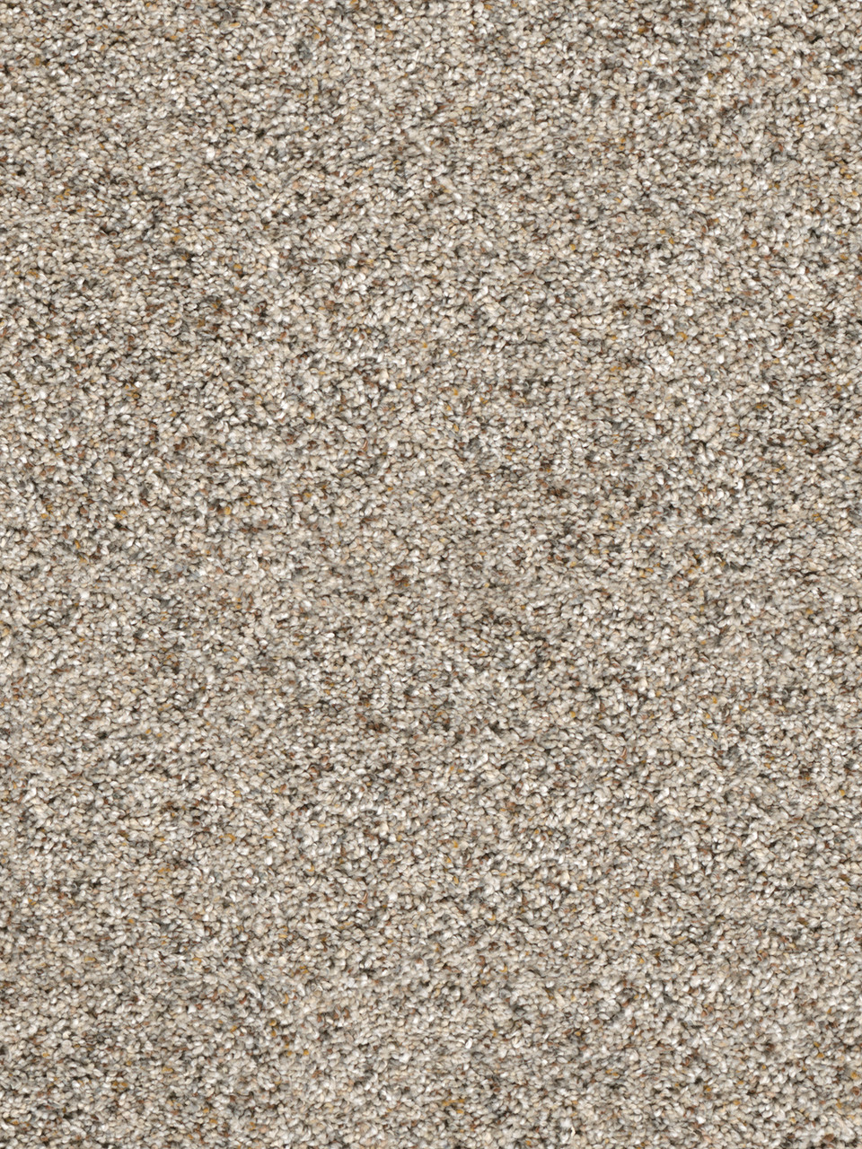 Confetti III Residential Carpet Color: Silver Mist - Dreamweaver by Engineered Floors