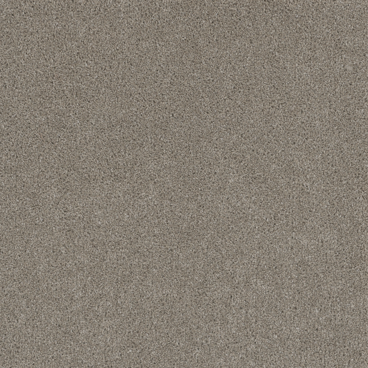 Show Time Residential Carpet Color: Marble Chips - Dreamweaver by Engineered Floors