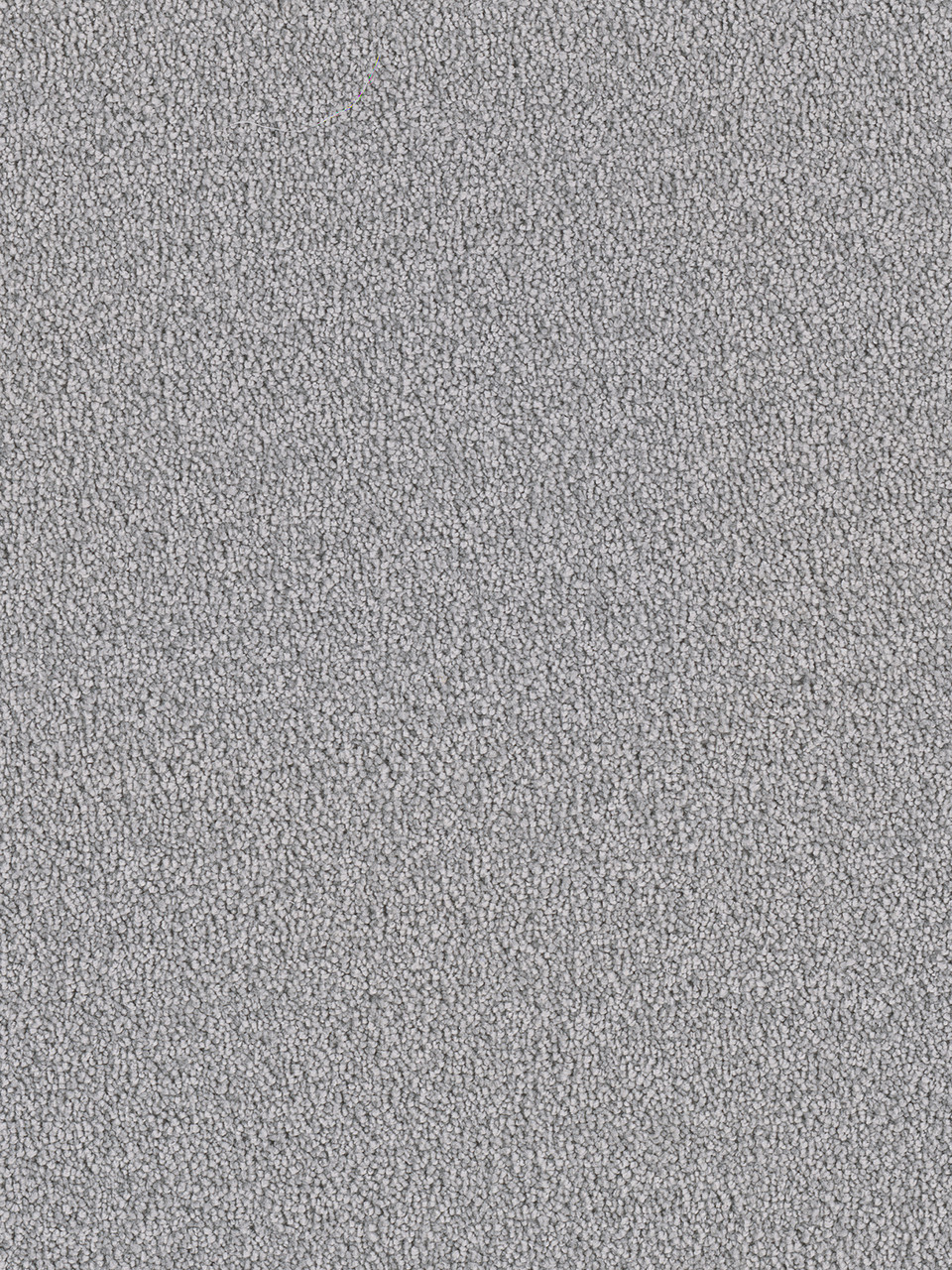 Star Struck Residential Carpet Color: Smoke - Dreamweaver by Engineered Floors