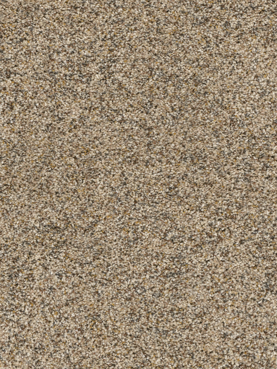 World Class I Residential Carpet Color: Swing - Dreamweaver by Engineered Floors