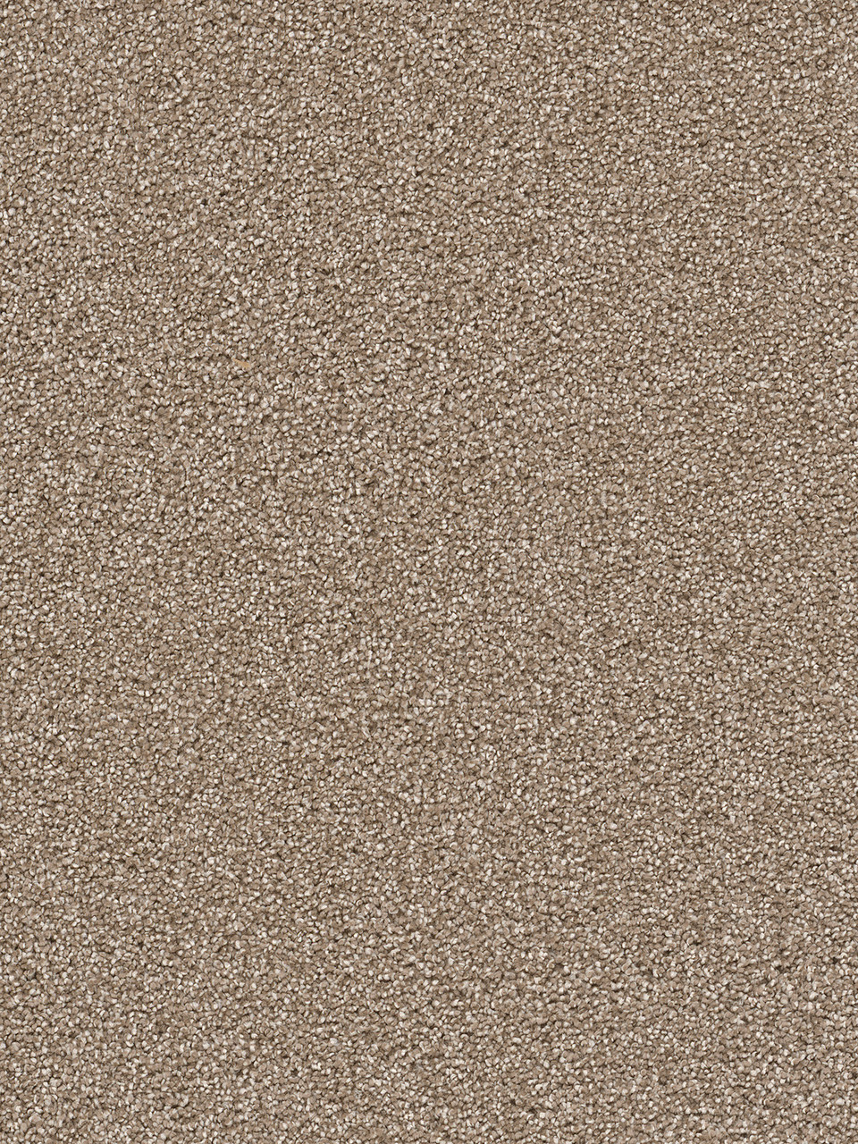Cape Cod Residential Carpet Color: Quail - Dreamweaver by Engineered Floors