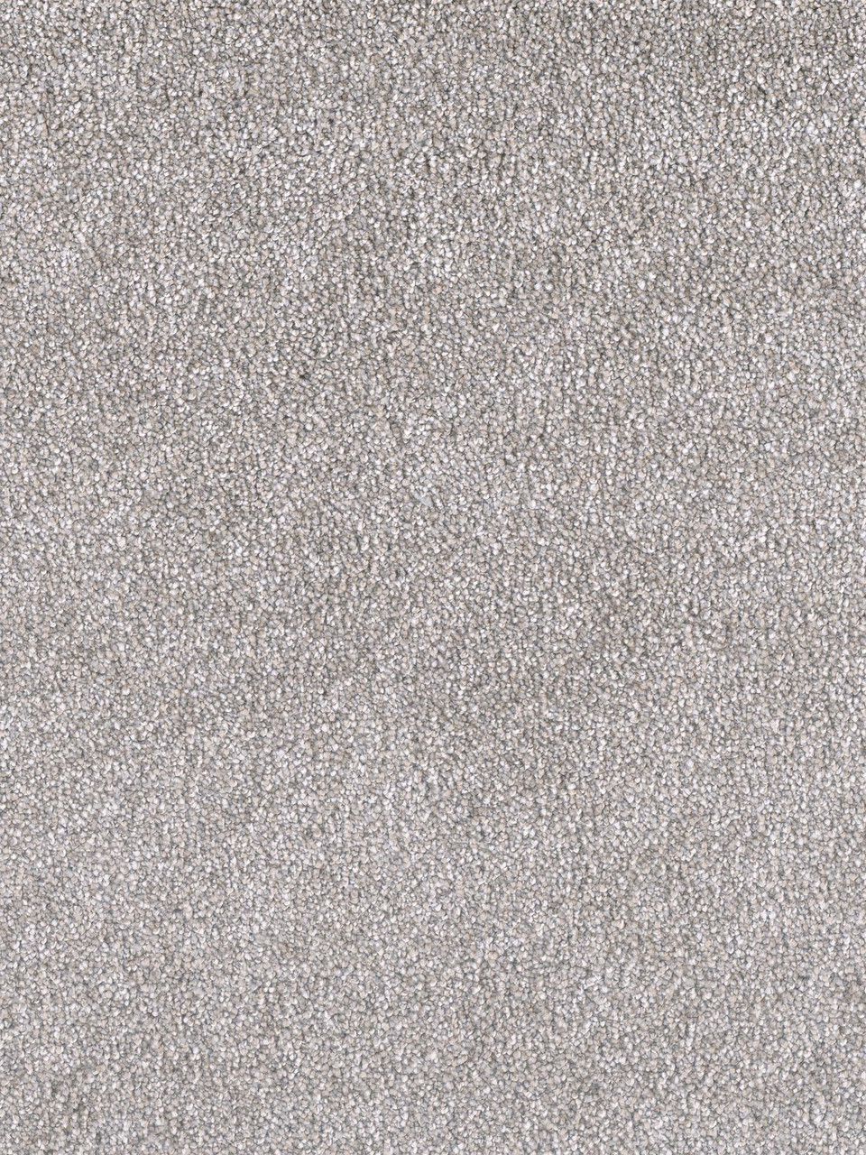 Show Stopper I Residential Carpet Color: Full Moon - Dreamweaver by Engineered Floors