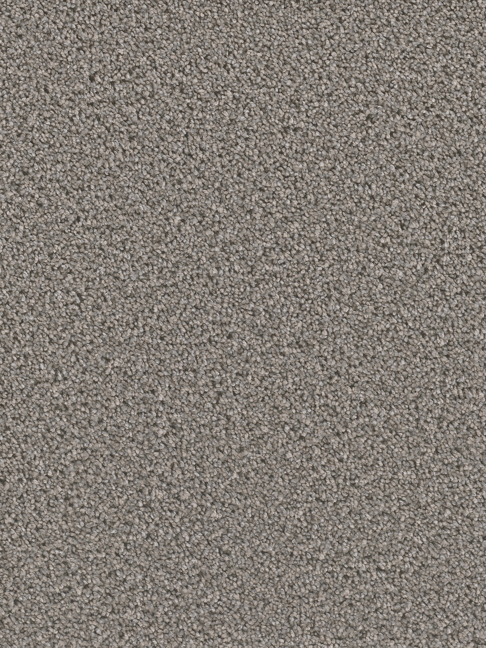 Stunning Residential Carpet Color: Orion - Dreamweaver by Engineered Floors